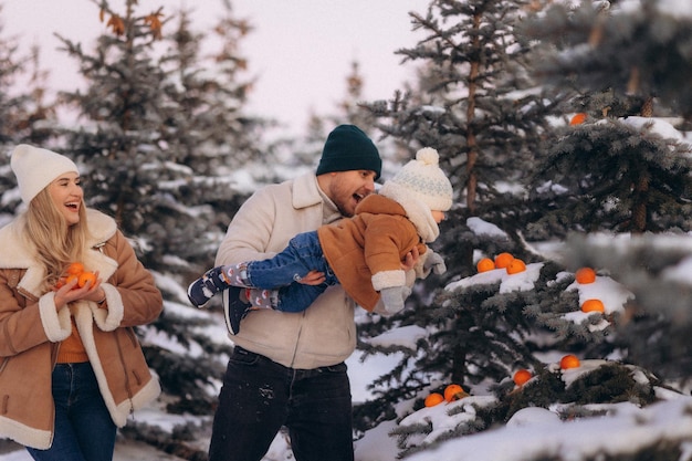 rodzina bawi się zimą w parku z jodłami