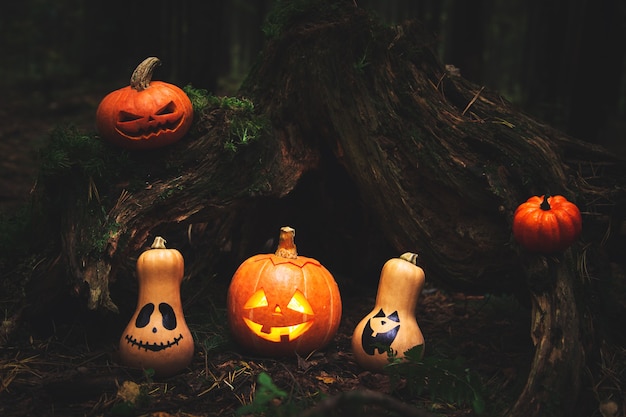 Rodzina dyni jack latarnia w jesiennym mistycznym lesie. Humor. Halloweenowy tło.
