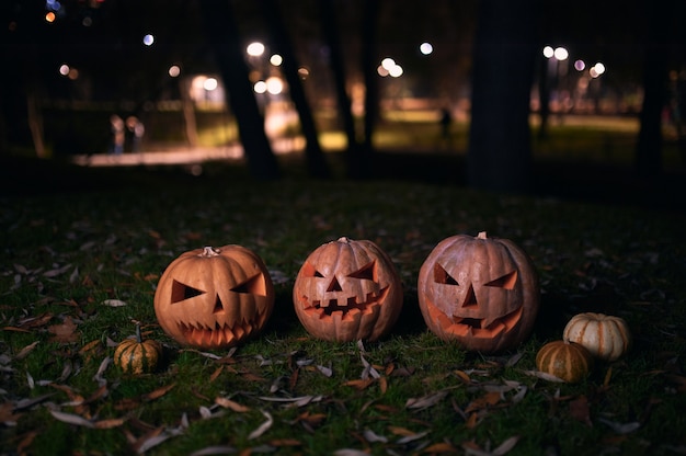 Rodzina Halloweenowych Bani W Jesień Parku