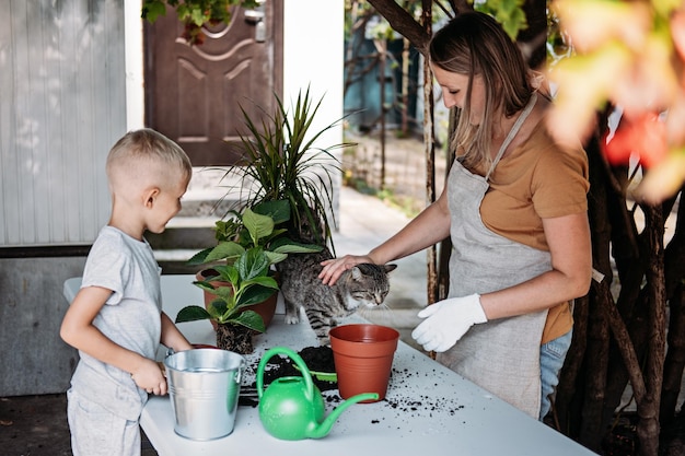 Rodzina Mama Syn I Kot Sadzą Kwiaty Razem Wiosna Pielęgnacja Roślin Doniczkowych Przesadzanie Rośliny Doniczkowe Szczęśliwe