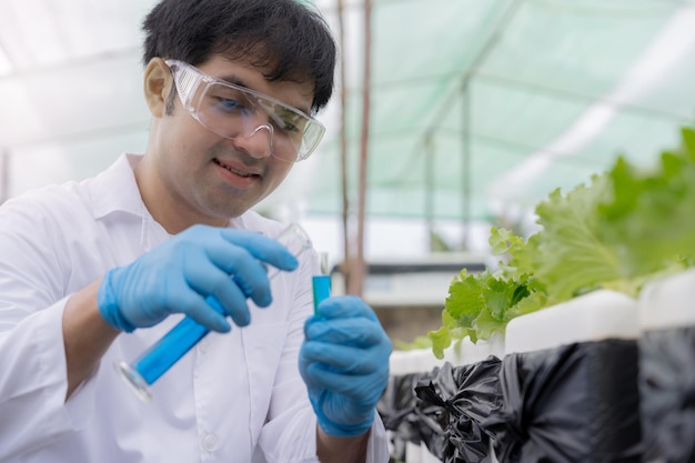 Rolnictwo ekologiczne farma sałatek Rolnicy naukowi sprawdzają stan wody podczas sadzenia sprawdzają pozostałości pestycydów Hydroponika warzywa Ekologiczne Biologiczne Zdrowe Ekologia wegetariańska