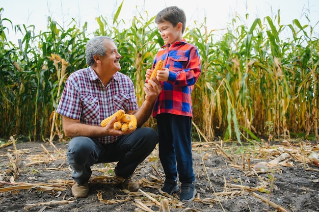Rolnictwo rodzinne. Dziadek rolników z małym wnukiem w polu kukurydzy. doświadczony dziadek wyjaśnia wnukowi naturę wzrostu roślin.