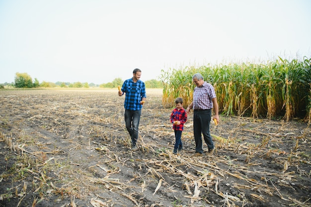 Rolnictwo rodzinne. Dziadek rolników z synem i młodym wnukiem w polu kukurydzy. Koncepcja rolnictwa.