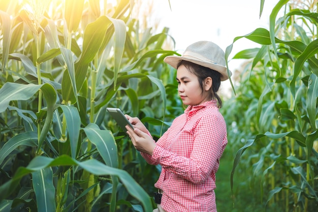 Rolnicy uprawiający kukurydzę wykorzystują technologię komunikacyjną do diagnozowania chorób kukurydzy z ekspertami.
