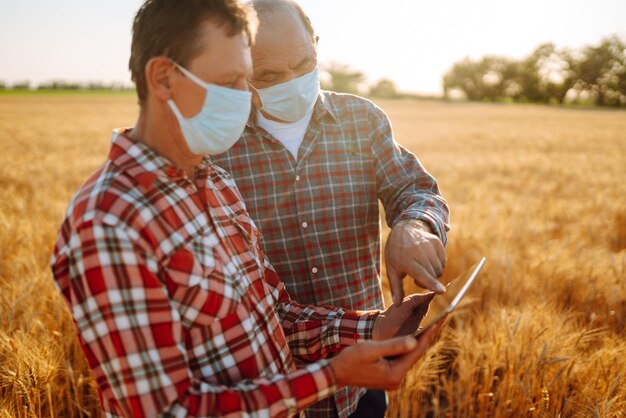 Rolnicy w sterylnych maskach medycznych omawiają kwestie rolnicze na polu pszenicy Agro biznes Covid19