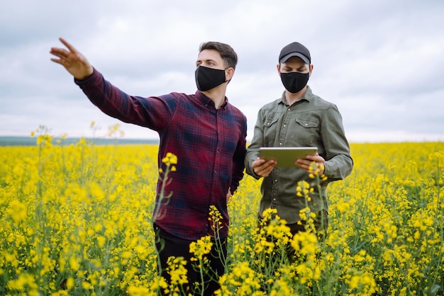 Rolnicy z tabletem w terenie Rolnicy w maskach medycznych omawiają kwestie rolnicze na polu