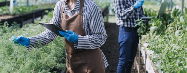 Zdjęcie rolniczka pracująca wcześnie na farmie trzymająca drewniany kosz świeżych warzyw i tabletx9