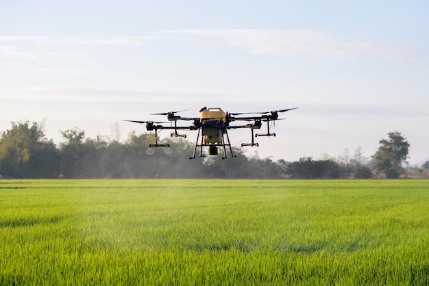 Rolniczy dron latający i rozpylający nawozy i pestycydy na polach uprawnych