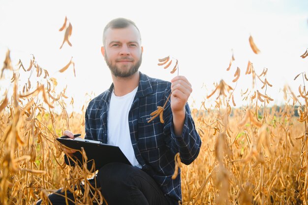 Rolnik Agronom Na Polu Soi Sprawdzający Uprawy Produkcja I Uprawa żywności Ekologicznej