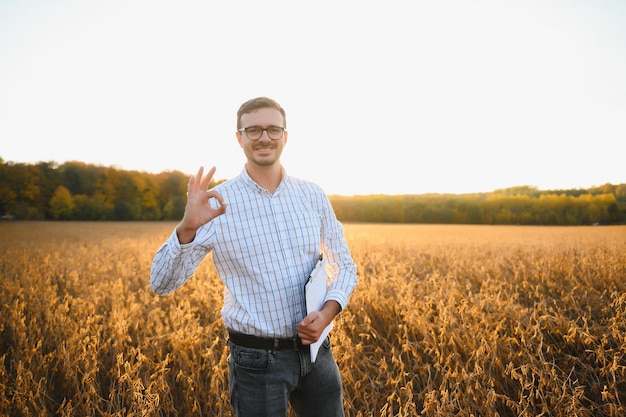 Rolnik agronom na polu soi sprawdzający uprawy przed zbiorami Produkcja i uprawa żywności ekologicznej