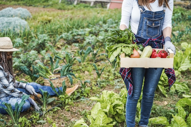 Rolnik kobieta trzymająca drewniane pudełko ze świeżymi organicznymi warzywami