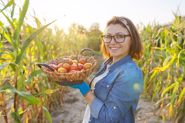 Rolnik kobieta z koszem dojrzałych czerwonych pomidorów naturalnych w jego ogród warzywny w słoneczny dzień. Hobby i wypoczynek, żniwa, ogrodnictwo, rolnictwo, koncepcja zdrowej żywności ekologicznej