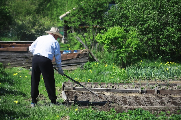 Rolnik kopie ogród Mężczyzna z kombajnem orze ogród Siwowłosy dziadek kosi ogród