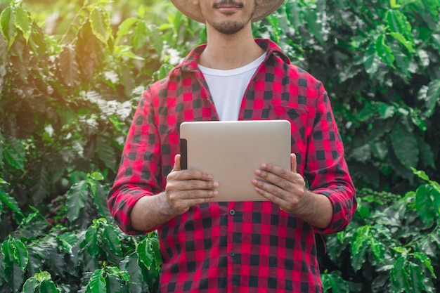 Rolnik korzystający z cyfrowego tabletu na plantacji uprawnej kawy Nowoczesne zastosowanie technologii w działalności rolniczej