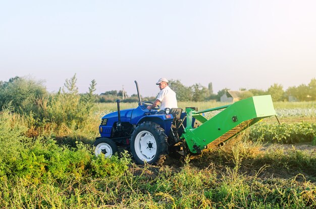 Rolnik Na Traktorze Jedzie Przez Pole Farmy. Kampania Zbioru Ziemniaków. Rolnictwo, Rolnictwo