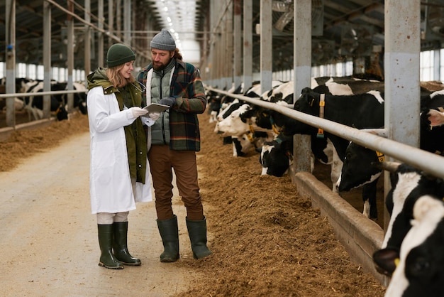 Rolnik omawiający zdrowie krów z weterynarzem