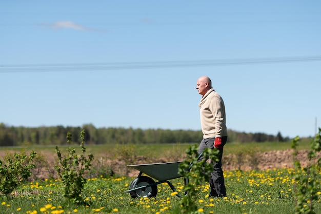 Rolnik płci męskiej w średnim wieku pchający taczki na polu