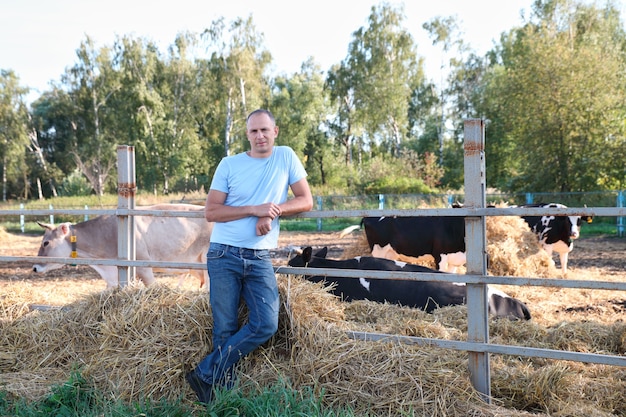 Rolnik pracuje w gospodarstwie z krowami mlecznymi