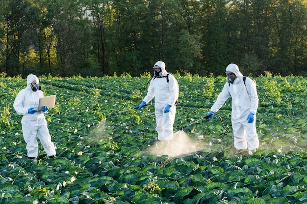 Rolnik rozpylający pestycydowe maski polowe zbiera chemikalia ochronne