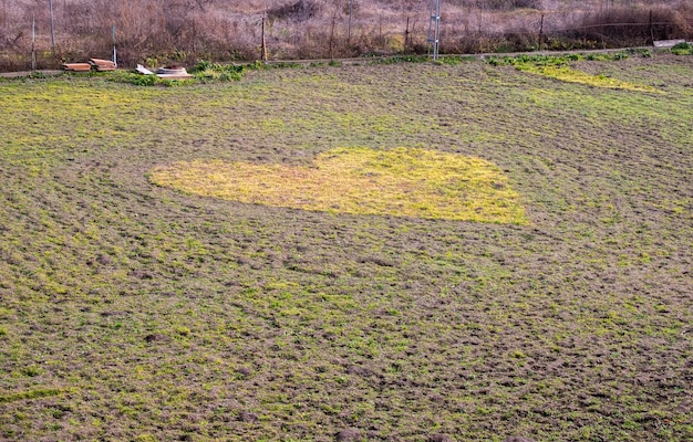 Zdjęcie rolnik skosił trawę w swoim sadzie, rysując serce