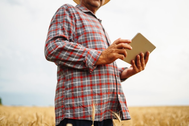 Rolnik sprawdza postępy w polu pszenicy trzymając tablet za pomocą internetu Inteligentne rolnictwo cyfrowe rolnictwo