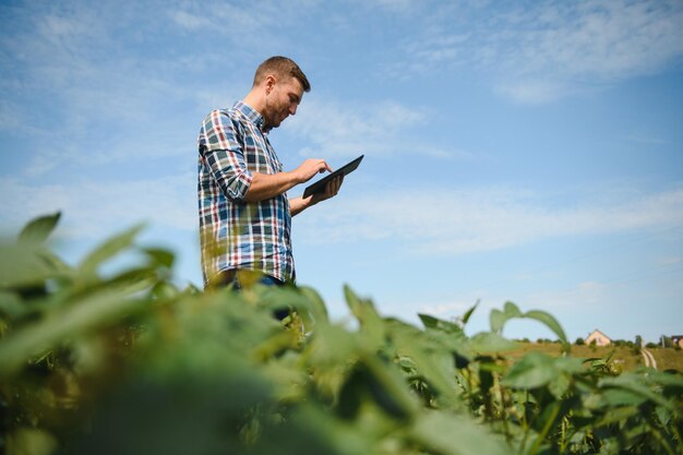 Rolnik sprawdza uprawy soi na polu rolniczym Koncepcja produkcji rolnej Młody agronom bada uprawy soi na polu latem Rolnik na polu soi