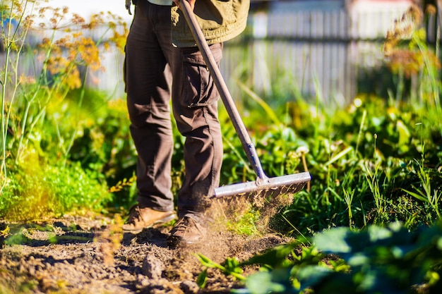 Rolnik uprawiający ziemię w ogrodzie narzędziami ręcznymi Spulchnianie gleby Koncepcja ogrodnicza Prace rolnicze na plantacji