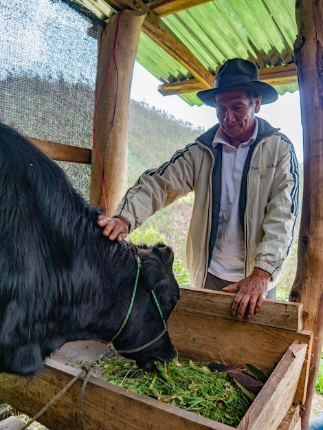 Rolnik w gospodarstwie ekologicznym w górach Cusco