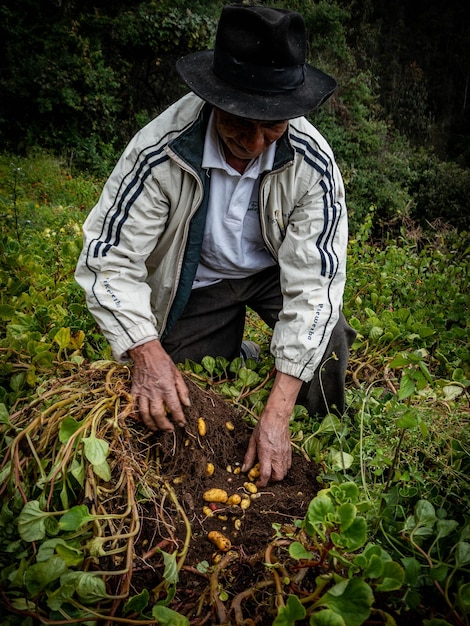 Rolnik w gospodarstwie ekologicznym w górach Peru