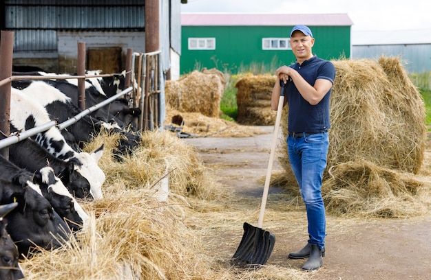 Zdjęcie rolnik w gospodarstwie z krowami mlecznymi
