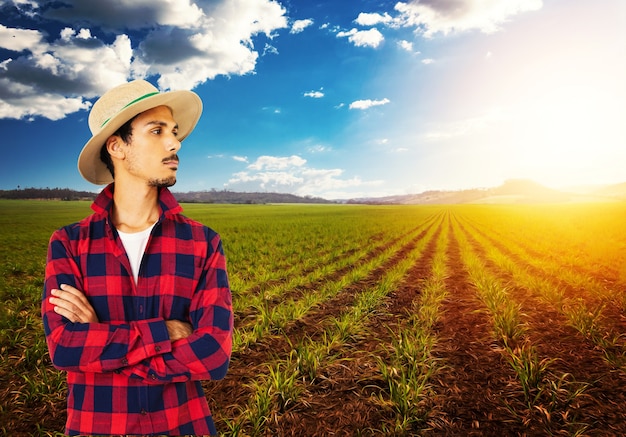 Rolnik w kapeluszu przed farmą upraw kukurydzy plantacji. Pracownik rolny w polu.