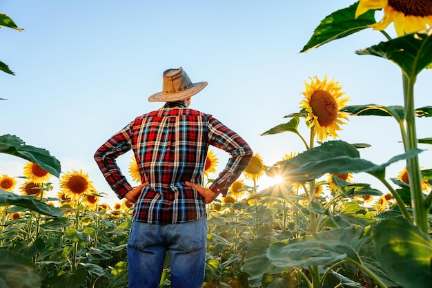 Rolnik w kapeluszu stoi na polu i sprawdza swoją własność ręce na biodrach w pogodny dzień i