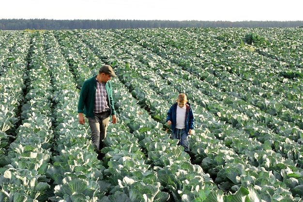 Rolnik z dzieckiem sprawdzającym uprawy kapusty na polu koncepcja Dnia Ojca