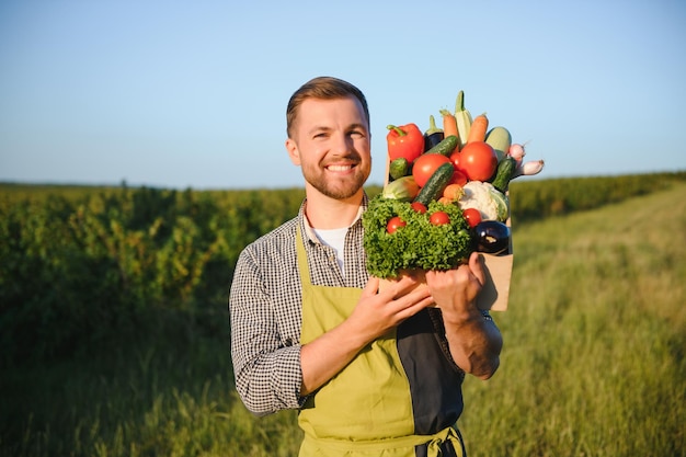 Rolnik z pudełkiem świeżych warzyw spaceruje po swoim polu Zdrowe odżywianie i świeże warzywa
