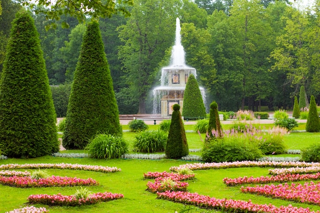 Zdjęcie romańska fontanna niski park w peterhof, rosja