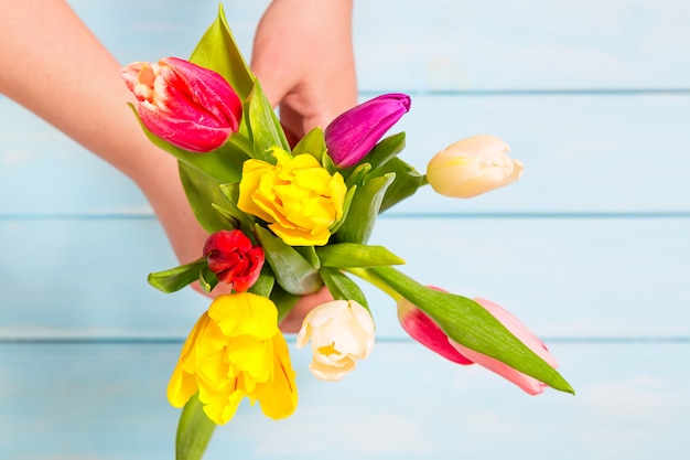 Romantyczna koncepcja. Zakończenie kolorowy tulipan up kwitnie w żeńskich rękach przeciw bławemu
