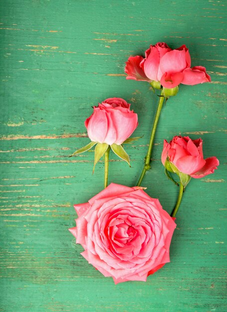 Romantyczny Kwiatowy Tło Ramki Różowe Róże Na Drewnianym Tle.