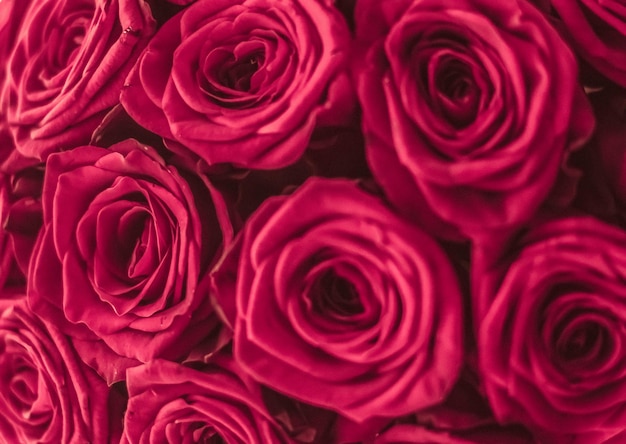Romantyczny luksusowy bukiet kwiatów różowych róż w rozkwicie jako kwiatowy tło wakacje