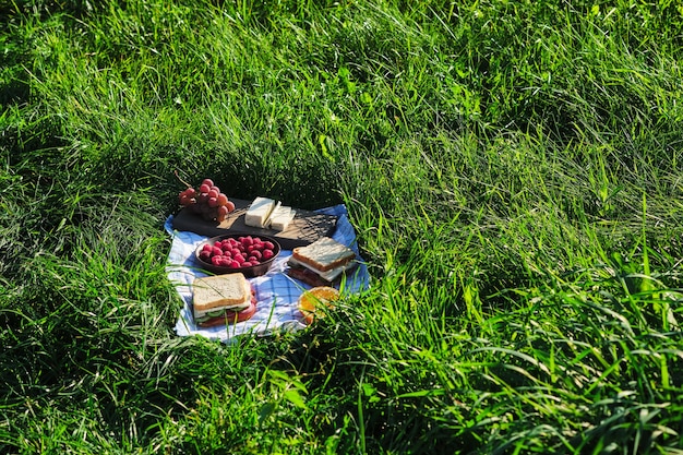 Romantyczny piknik we wsi na łonie natury Kanapki jagody ser i owoce na śniadanie