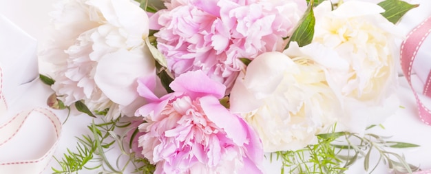 Romantyczny transparent, z bliska delikatne białe piwonie. Pachnące różowe płatki, abstrakcyjne tło romantyczne, pastelowa i miękka karta kwiatowa