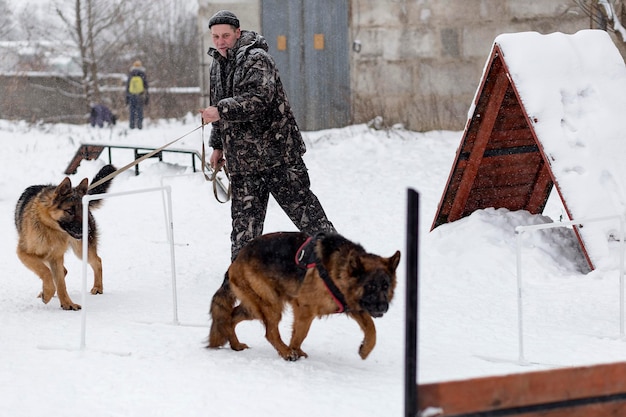 Rosja Iwanowo 24 grudnia 2017 mężczyzna trenuje owczarki niemieckie w zimowej redakcji