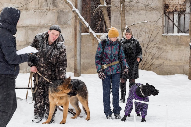 Rosja Iwanowo 24 grudnia 2017 r. ludzie szkolą psy w zimowej redakcji