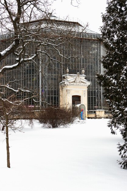 Rosja St Petersburg Ogród botaniczny Piotra Wielkiego