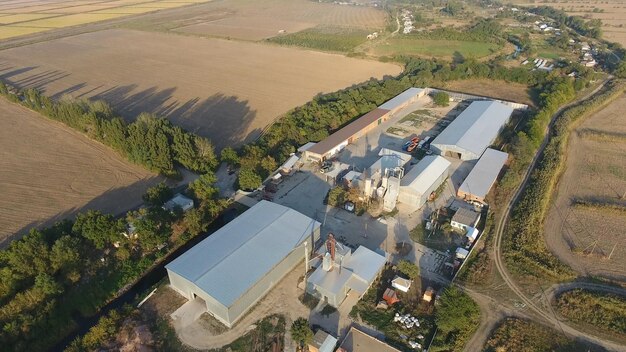 Zdjęcie roślina ryżowa hangar do przechowywania ziarna platforma do suszenia i sinterowania ziarna zbiorzone ziarno