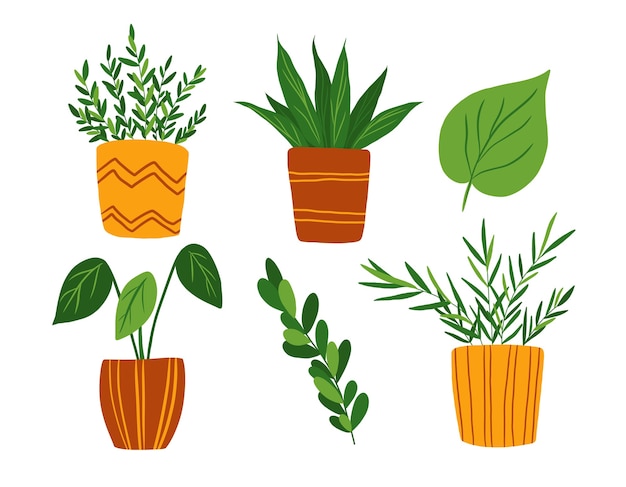 Rośliny doniczkowe zestaw clipart na białym tle. Ręcznie rysowane w kolekcji kwiatów doniczkowych płaski. Elementy projektu rośliny domowe.