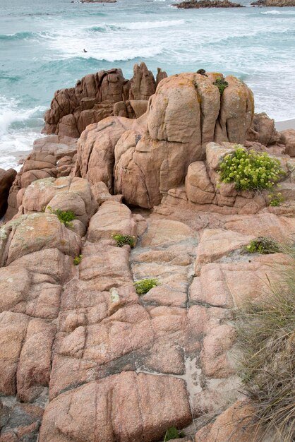 Rośliny i skały na plaży Forcados Point Costa de la Muerte, Galicja, Hiszpania