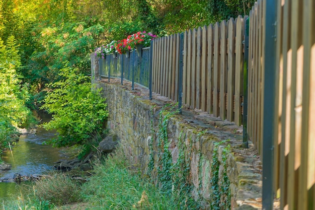 Zdjęcie rośliny przy balustradzie i ogrodzenie przy drzewach