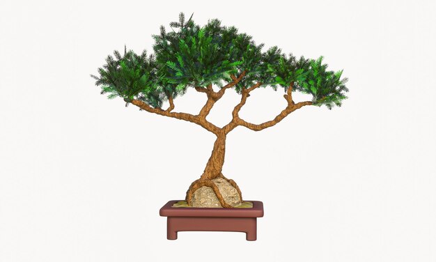 Zdjęcie rośliny w małych garnkach lub bonsai obejmują skały terakotowe garnki i zgięte rośliny zakrzywiona sosna w małym garnku rendering 3d