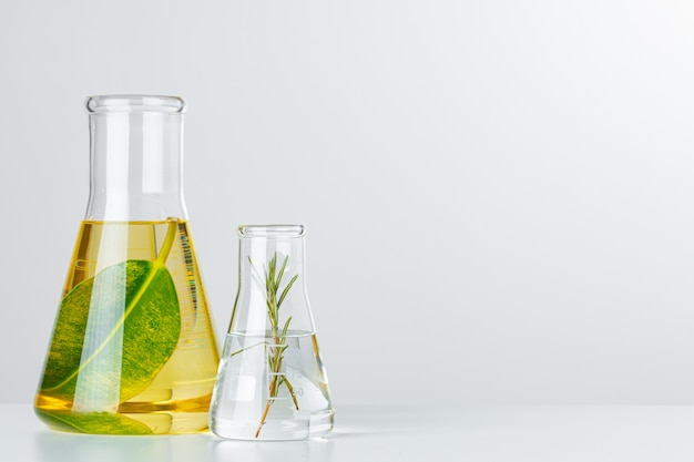 Rośliny w szklanych naczyniach laboratoryjnych. Koncepcja badań chemicznych produktów do pielęgnacji skóry i leków