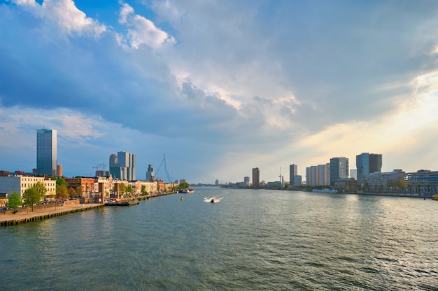 Rotterdam gród widok na rzekę nieuwe maas holandia